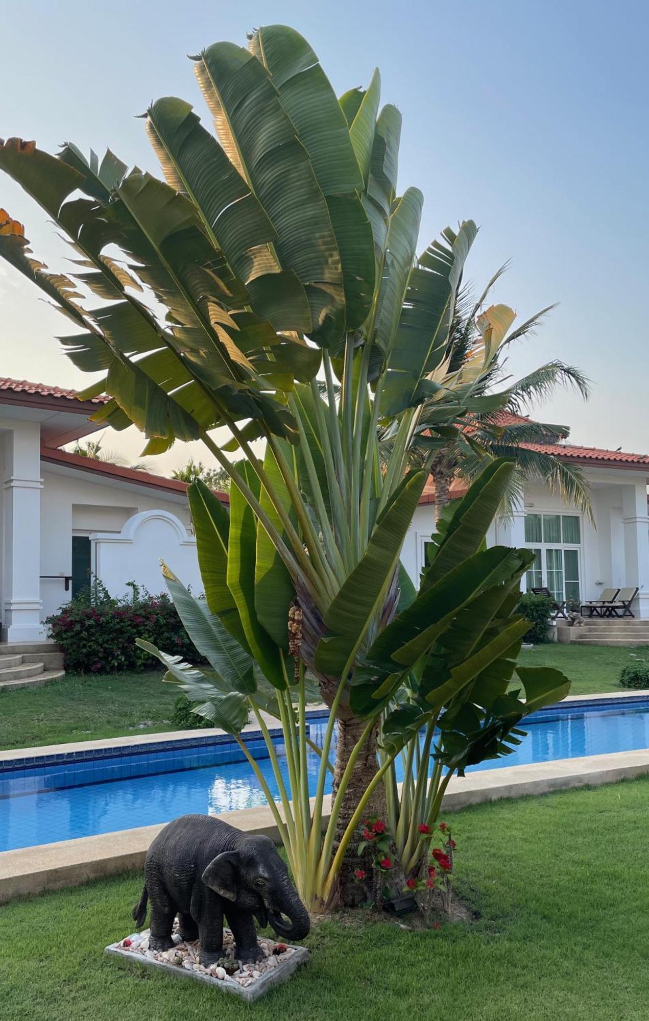 Villa Bougainvillea Hua Hin Dış mekan fotoğraf